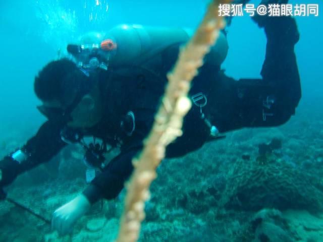 HAHA体育十年运营